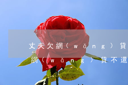 丈夫欠網(wǎng)貸會影響到妻子嗎(欠網(wǎng)貸不還會影響妻子嗎)