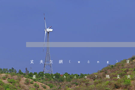 丈夫欠網(wǎng)貸會影響妻子名下財產(chǎn)嗎(丈夫欠了網(wǎng)貸妻子怎么辦)