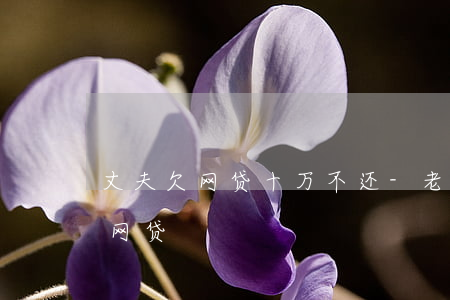 丈夫欠网贷十万不还-老公欠了10万多的网贷