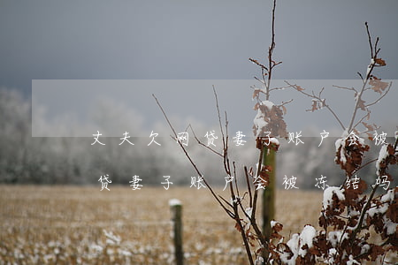 丈夫欠网贷妻子账户会被冻结吗-丈夫欠网贷妻子账户会被冻结吗知乎