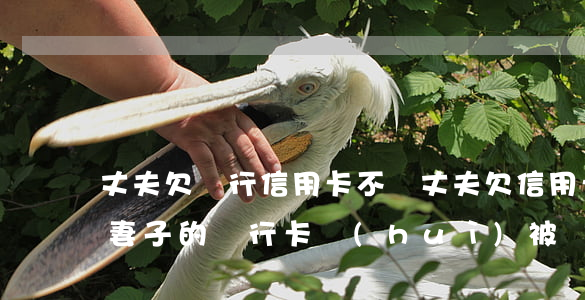 丈夫欠銀行信用卡不還 丈夫欠信用卡還不上,妻子的銀行卡會(huì)被凍結(jié)嗎
