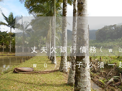 丈夫欠銀行債務(wù)(丈夫欠銀行債務(wù)妻子必須一起償還嗎)