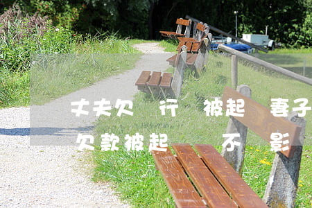 丈夫欠銀行錢被起訴妻子能坐飛機嗎?-老公欠款被起訴會不會影響老婆坐火車