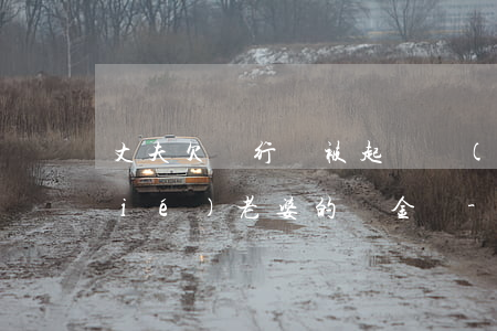丈夫欠銀行錢被起訴,會(huì)凍結(jié)老婆的資金嗎-丈夫欠銀行錢被起訴,會(huì)凍結(jié)老婆的資金嗎