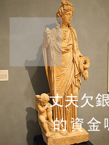 丈夫欠銀行錢被起訴會凍結(jié)老婆的資金嗎-丈夫欠銀行錢被起訴會凍結(jié)老婆的資金嗎