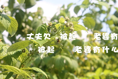 丈夫欠錢被起訴對老婆有什么影響-丈夫欠錢被起訴對老婆有什么影響嗎