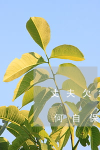 丈夫欠錢被起訴案例(丈夫欠債被起訴妻子如何自保)