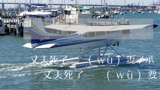 丈夫死了債務(wù)妻子承擔(dān)嗎(丈夫死了債務(wù)要妻子還嗎)