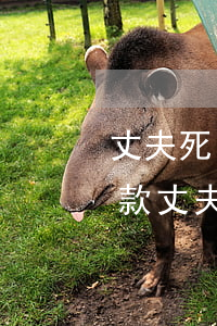 丈夫死了如果要离婚带俩孩子能给多少赔偿款(丈夫死了如果要离婚带俩孩子能给多少赔偿款)