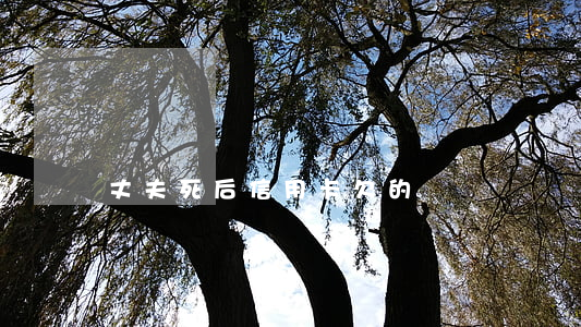 丈夫死后信用卡欠的錢