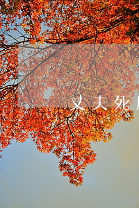 丈夫死后妻子要還債嗎