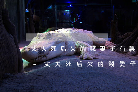 丈夫死后欠的錢妻子有義務(wù)償還嗎-丈夫死后欠的錢妻子有義務(wù)償還嗎知乎