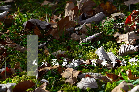 丈夫死后欠网贷妻子会被起诉吗-