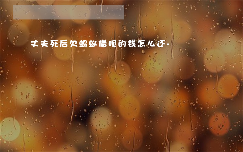 丈夫死后欠蚂蚁借呗的钱怎么还-