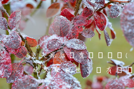 丈夫死后沒有遺囑財產(chǎn)怎么分配(父母去世了,沒有遺囑,遺產(chǎn)怎么分配)
