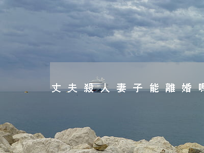 丈夫殺人妻子能離婚嗎(離婚殺死妻子)