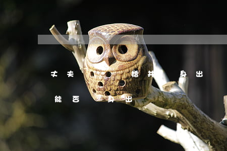 丈夫為愛離婚并凈身出戶(如果丈夫家暴離婚能否凈身出戶)