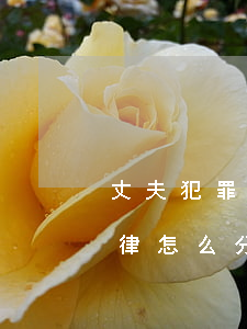 丈夫犯罪后離婚后財產怎么分配(丈夫出軌法律怎么分配財產)