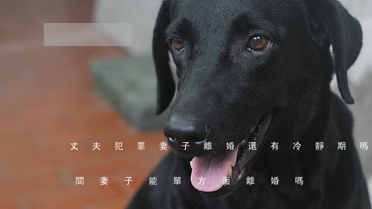 丈夫犯罪妻子離婚還有冷靜期嗎(丈夫服刑期間妻子能單方面離婚嗎)