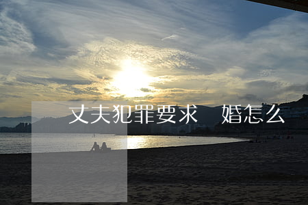 丈夫犯罪要求離婚怎么辦