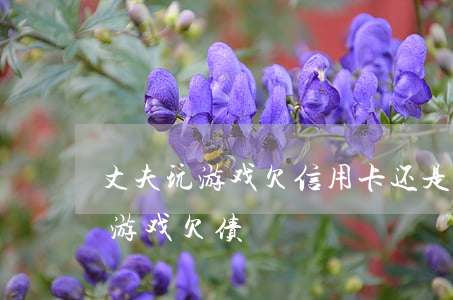 丈夫玩游戏欠信用卡还是共同债务-老公玩游戏欠债