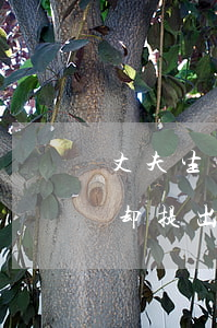丈夫生病了瞒着妻子离婚(妻子身患重病 丈夫却提出离婚)