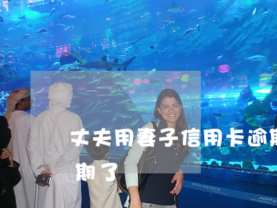 丈夫用妻子信用卡逾期(丈夫用妻子信用卡逾期了)