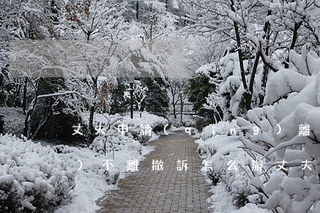 丈夫申請(qǐng)離婚又說(shuō)不離撤訴怎么辦(丈夫申請(qǐng)離婚又說(shuō)不離撤訴怎么辦)