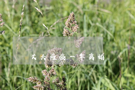 丈夫瘫痪一年离婚