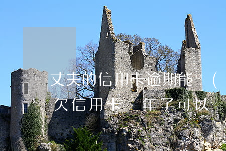 丈夫的信用卡逾期能協(xié)商還款嗎(欠信用卡兩年了,可以協(xié)商還款嗎)