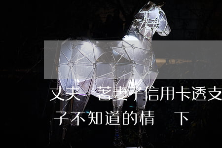 丈夫瞞著妻子信用卡透支(丈夫信用卡透支妻子不知道的情況下)