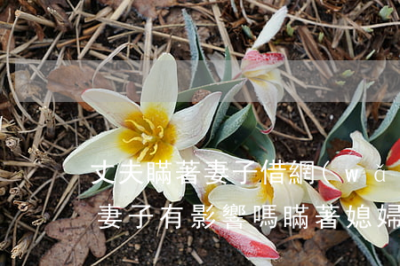 丈夫瞞著妻子借網(wǎng)貸逾期不還,妻子有影響嗎（瞞著媳婦欠網(wǎng)貸）