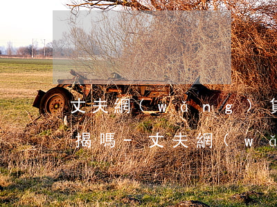 丈夫網(wǎng)貸逾期妻子單方可以按揭嗎-丈夫網(wǎng)貸逾期妻子單方可以按揭嗎怎么辦