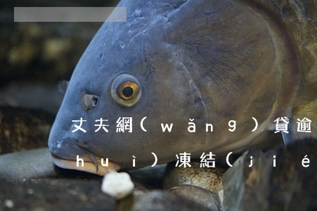 丈夫網(wǎng)貸逾期老婆的賬戶會(huì)凍結(jié)嗎-丈夫網(wǎng)貸逾期老婆的賬戶會(huì)凍結(jié)嗎怎么辦