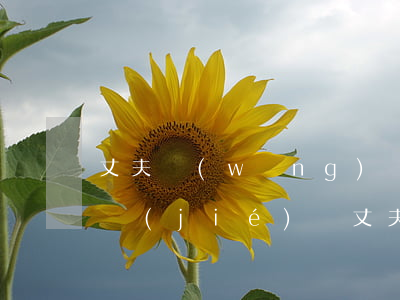 丈夫網(wǎng)貸逾期老婆的賬戶會凍結(jié)嗎(丈夫網(wǎng)貸逾期妻子銀行卡會被凍結(jié)嗎)