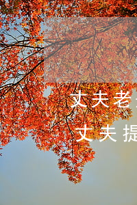 丈夫老是犯錯(cuò)妻子要離婚怎么辦(丈夫提出離婚怎么辦)