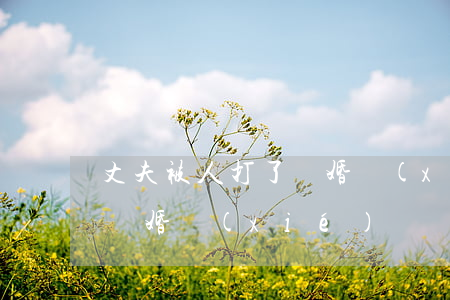 丈夫被人打了離婚協(xié)議書怎么寫(離婚協(xié)議書協(xié)議人怎么寫)