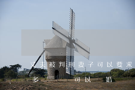 丈夫被判刑妻子可以要求離婚嗎(丈夫判刑了多長時間可以離婚)