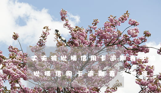 丈夫被批捕信用卡逾期妻子被催債-丈夫被批捕信用卡逾期妻子被催債怎么辦