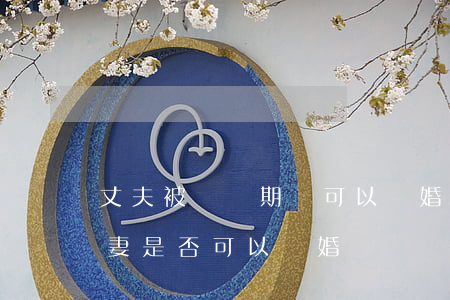 丈夫被訴訟期間可以離婚嗎(在被起訴期間,夫妻是否可以離婚)