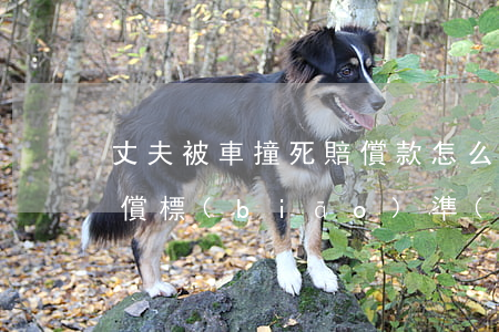 丈夫被車撞死賠償款怎么分?(被車撞了怎么賠償標(biāo)準(zhǔn))