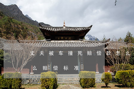 丈夫被车撞死赔偿款怎么分?(被车撞骨裂了怎么赔偿标准)