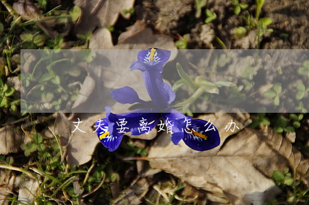 丈夫要离婚怎么办