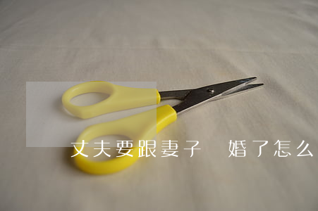 丈夫要跟妻子離婚了怎么辦