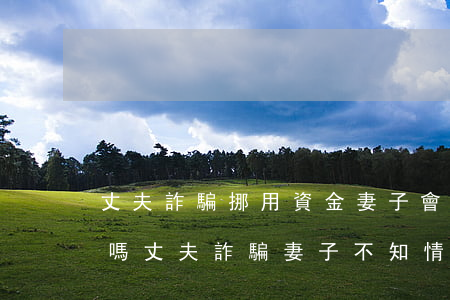 丈夫詐騙挪用資金妻子會(huì)被起訴嗎?(丈夫詐騙妻子不知情 是否承擔(dān)賠償責(zé)任)
