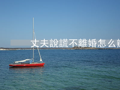 丈夫說謊不離婚怎么辦(老公說謊怎么辦)