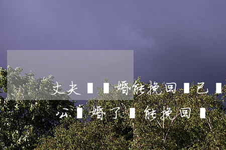 丈夫說離婚能挽回嗎(已經(jīng)跟老公離婚了還能挽回嗎)
