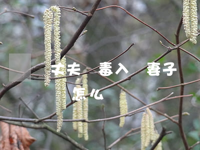 丈夫販毒入獄妻子該離婚嗎(老公販毒坐牢,我該怎么辦)