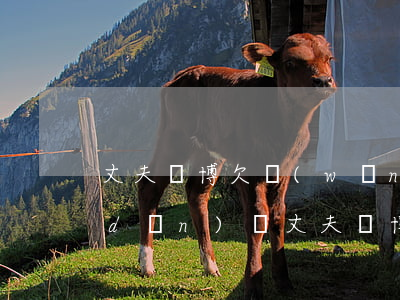 丈夫賭博欠網(wǎng)貸妻子要承擔(dān)嗎(丈夫賭博欠債妻子也要承擔(dān)債務(wù)嗎)