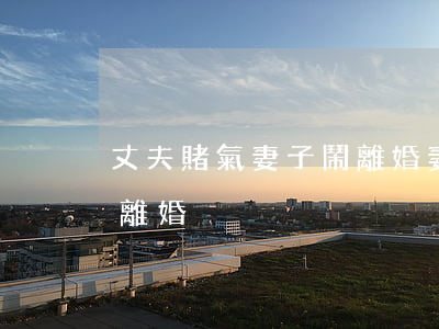 丈夫賭氣妻子鬧離婚(妻子沉迷賭博丈夫無奈離婚)